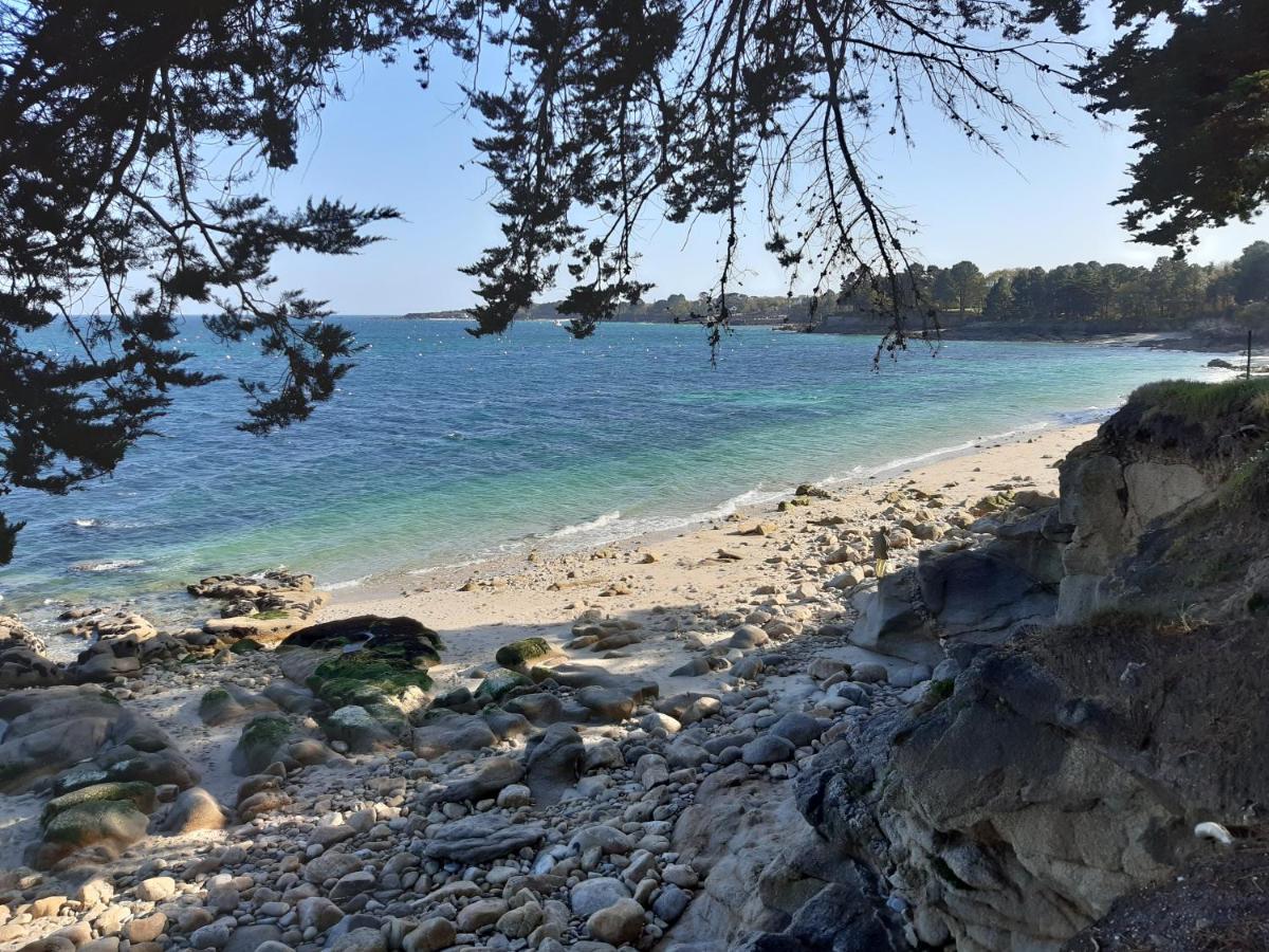 Agape, Elegant T2, 4 Etoiles, Plage Et Gr34 3Km, Centre Ville 750M Fouesnant Buitenkant foto
