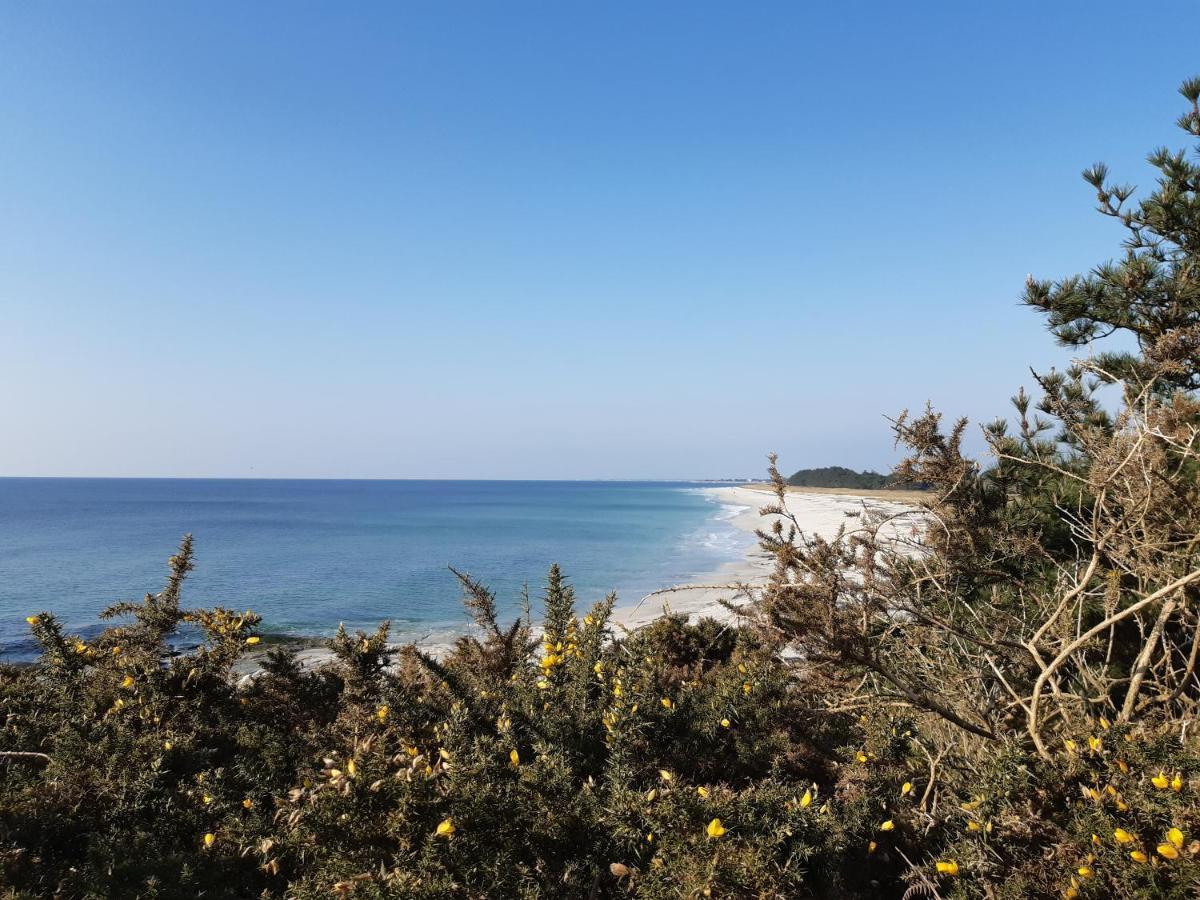 Agape, Elegant T2, 4 Etoiles, Plage Et Gr34 3Km, Centre Ville 750M Fouesnant Buitenkant foto